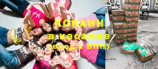 стафф Алексин