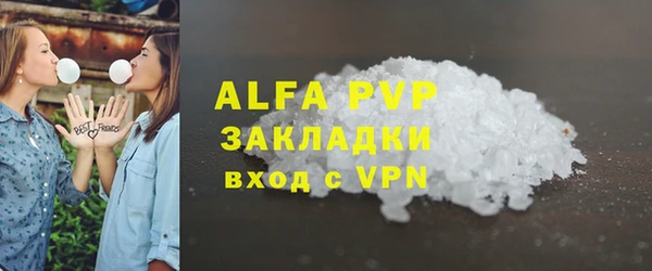 стафф Алексин