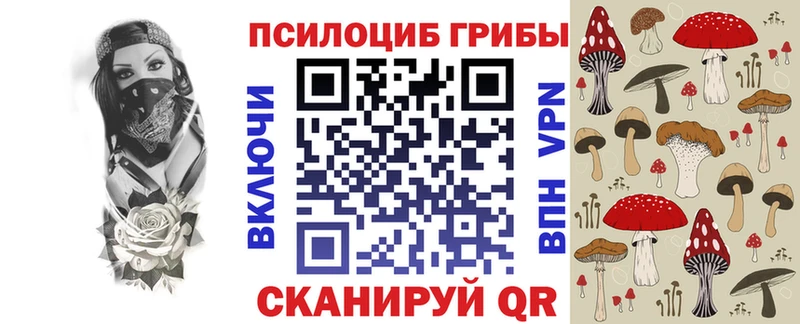 мориарти клад  Кремёнки  Псилоцибиновые грибы ЛСД 