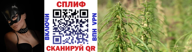 Бошки Шишки семена  blacksprut как зайти  Кремёнки 